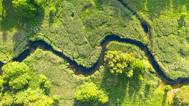istock Aerial landscape - wild river in summer 2213881093