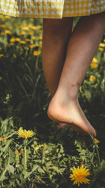 istock Bare feet gently step on lush green grass dotted with dandelions on a sunny spring day. A peaceful and natural moment of childhood in nature 2213885486