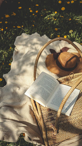 istock Woven picnic basket with an open book on top, resting on a cream blanket surrounded by blooming dandelions and a straw sunhat on a sunny spring day 2213885489