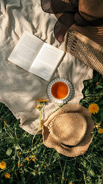 istock Open book, tea cup, straw hats, and dandelions on a beige blanket during a sunny spring picnic. Cozy and relaxing outdoor scene in the grass 2213885524