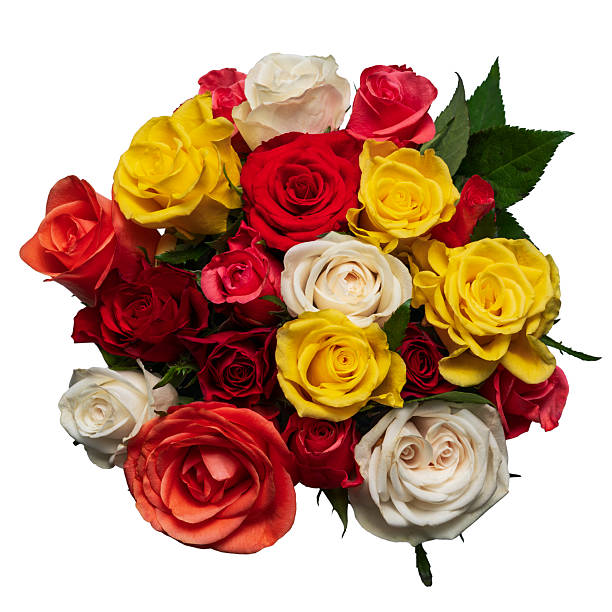 istock Beautiful bouquet of roses 2213886367