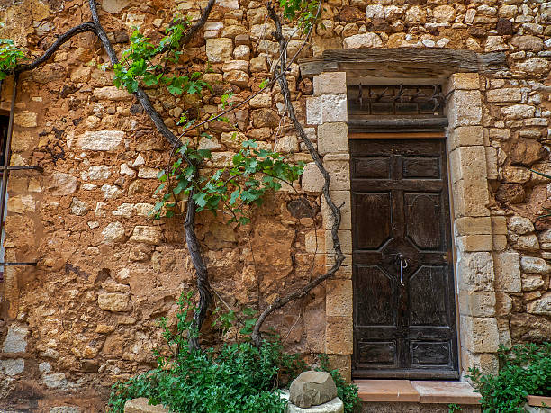 An old weathered door in a recently cleared damaged stone garden wall