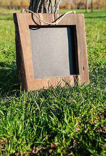 istock Rustic wooden empty chalkboard leans on tree in green grass 2213888761