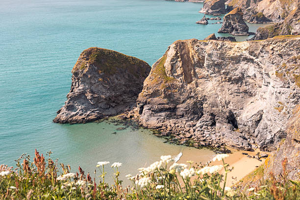 Cliffs and turquoise sea at Bedruthan Steps with wildflowers in foreground in summer, Cornwall, United Kingdom