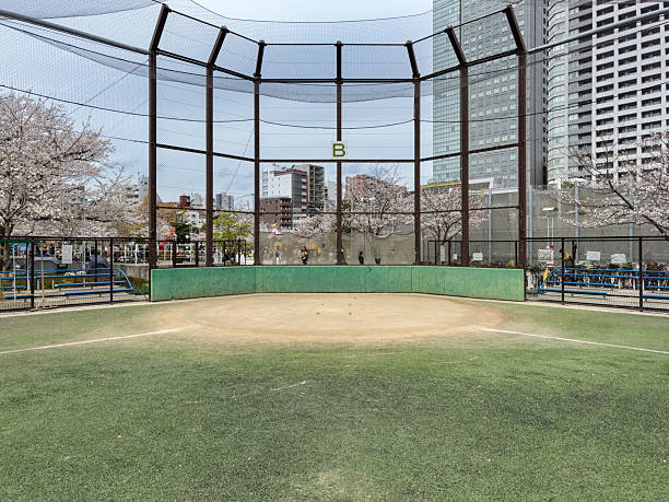 A baseball diamond in Tokyo surrounded by cherry blossom trees and urban architecture, reflecting community sports and harmony with nature.