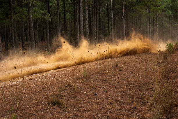 Dust Trail Behind a Speeding Rally Car