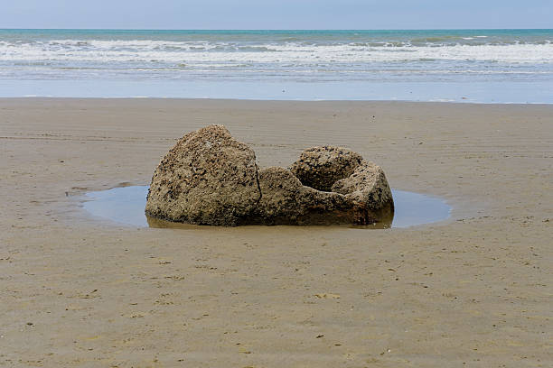 The remains of a Moeraki Boulder on Koekohe beach in Otago, New Zealand.