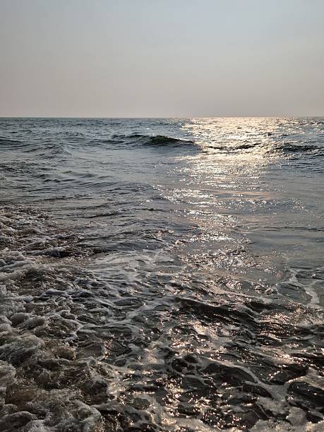 istock the sea in Negombo 2213897935