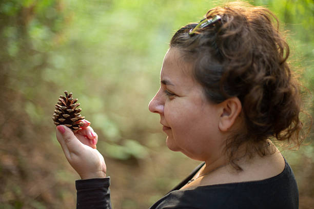 Woman examines a pine cone in the bright sunlight of a forest, appreciating the beauty of nature