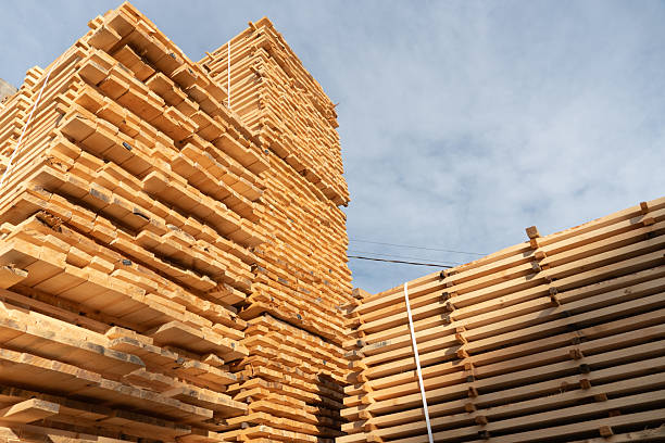 istock Wooden planks are neatly stacked several layers high at a construction site, illuminated by morning sunlight under a bright blue sky 2213902040
