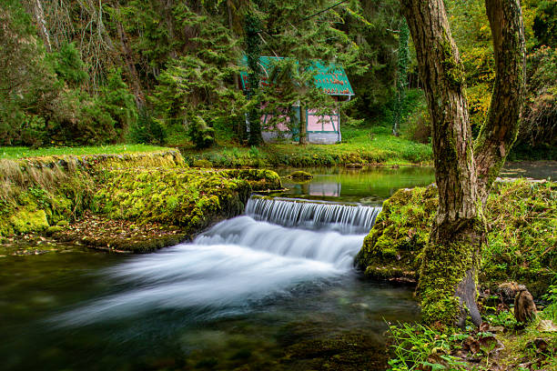 A gentle waterfall cascades over lush moss-covered rocks, with clear water flowing into a calm stream. A rustic cabin nestled among tall trees adds to the peaceful ambiance of this natural setting.