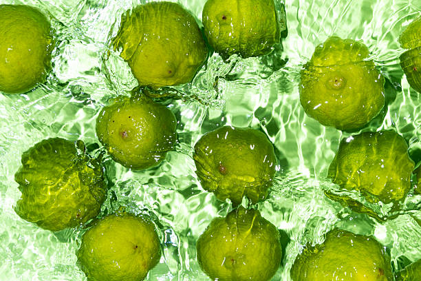 istock Vibrant Limes Submerged in Water Surface Scene 2213904965