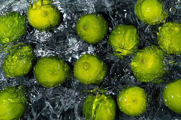 istock Whole Limes Drifting in Water with Soft Ripples 2213904971
