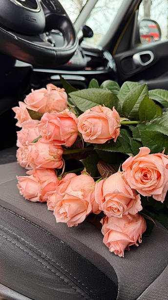 istock Bouquet of Roses Inside a Car 2213906566