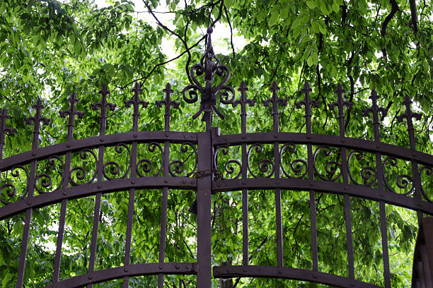 Old wrought iron fence with decorative elements against a backdrop of bright green tree crowns. An architectural detail, a combination of metal and nature.