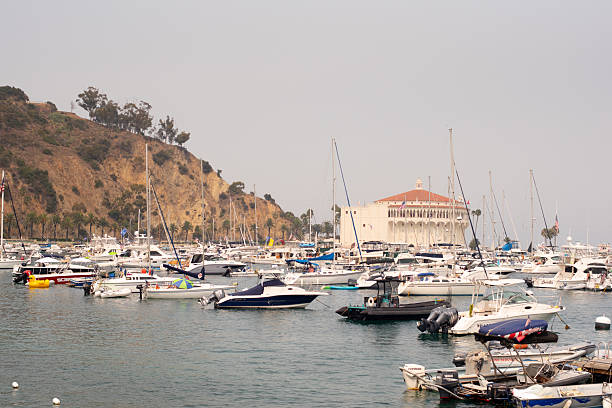 istock Catalina Island 2213909587