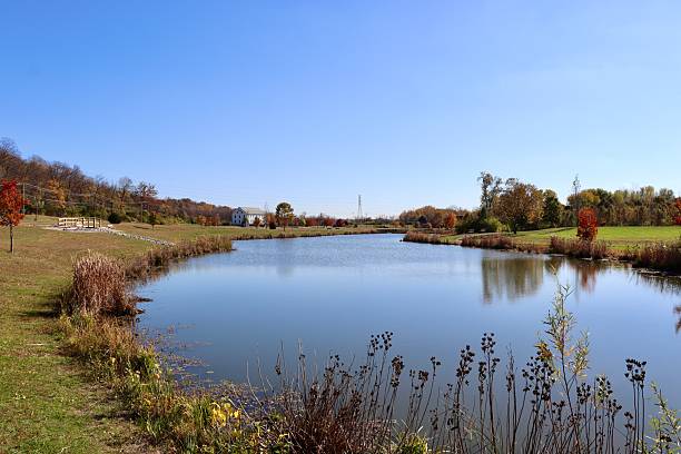 istock Pond in the Park 2213913505