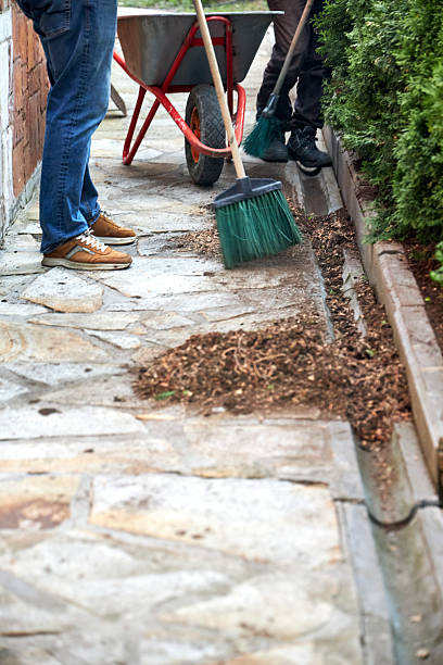 istock A gardener working in a summer garden, sweeping a path with a broom and cleaning up soil from plants 2213922346