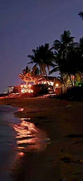 istock beach in the night - Negombo Morawala beach 2213923193