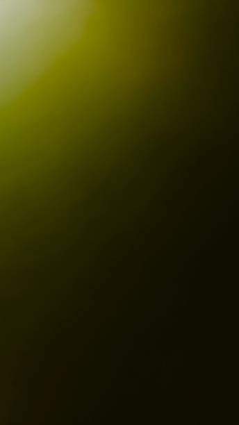 Olive Green Gradient Background with Smooth Texture