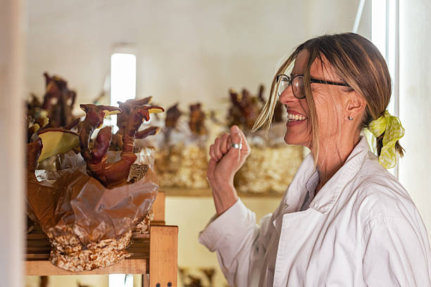 istock Harvesting Mushrooms for Health 2213925856