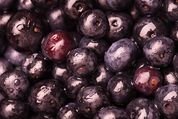 12,500+ Acai Stock Photos, Pictures & Royalty-Free Images - iStock