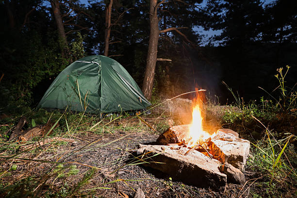 istock Bonfire and camping tent in forest at night 2213926832