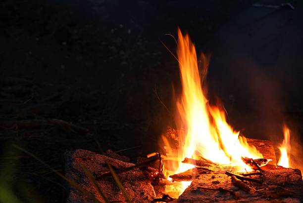 Campfire with beautiful flame in forest at night, space for text