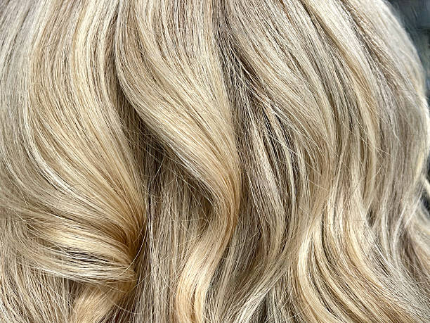 istock Blonde Highlights on Long Hair 2213933213