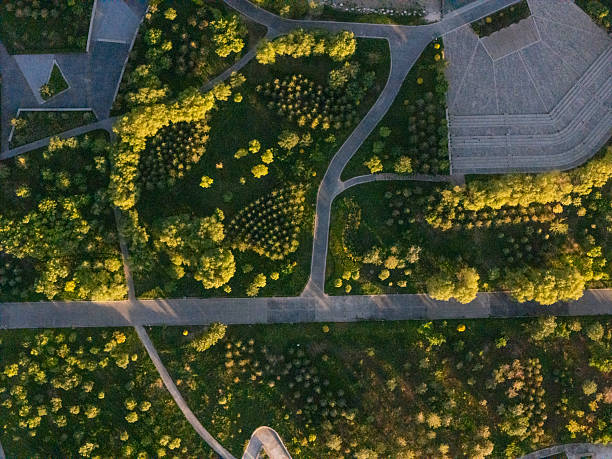 istock Aerial View of a Forest Path 2213937220