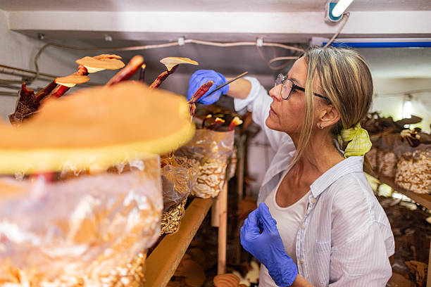 istock Woman Growing Mushrooms 2213938225