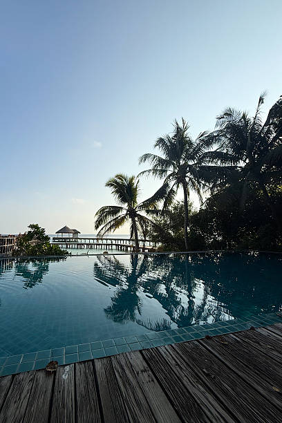 istock Outdoor pool at a tropical resort surrounded by palm trees 2213939151