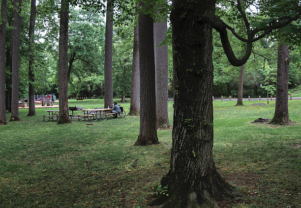 istock A person at a picnic table in a park 2213942482