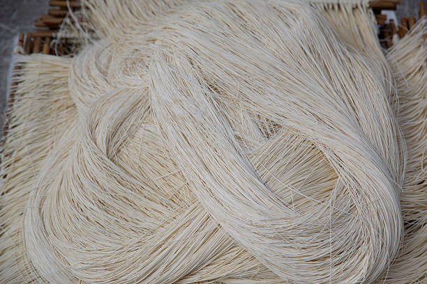 istock Close up of handmade noodles being made 2213942987