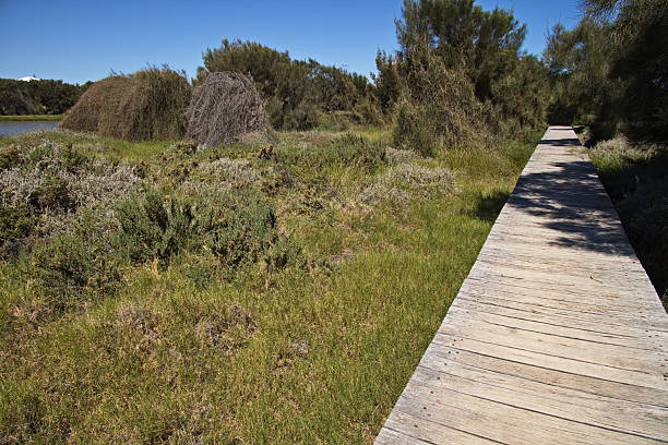 Board walk in Irwin River Estuary at Dongara, Western Australia, Australia
