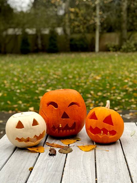 Three Jack’ O Lanterns on wooden table with autumn leaves