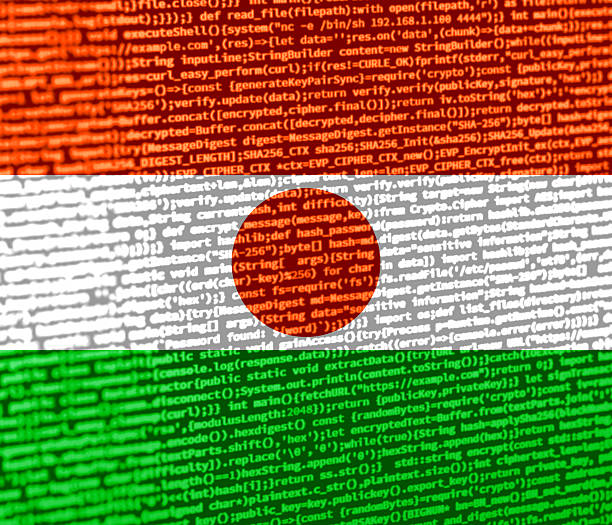Digital concept with the flag of Niger on a tech background. Niger in the context of cybersecurity, programming, and digital sovereignty. Symbolic image of site development in Niger.
