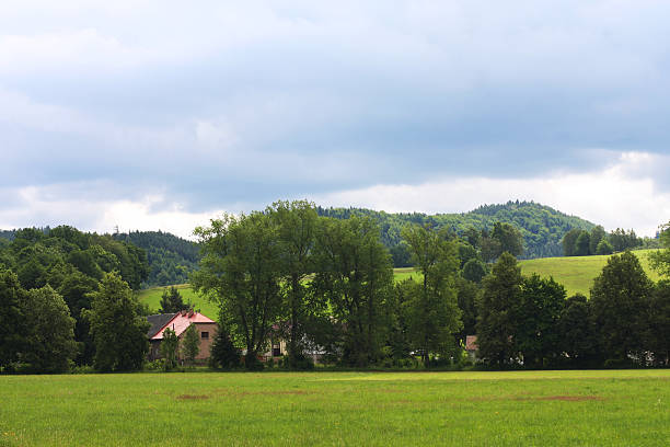 istock Summer . Green grass and blue sky. 2213955114