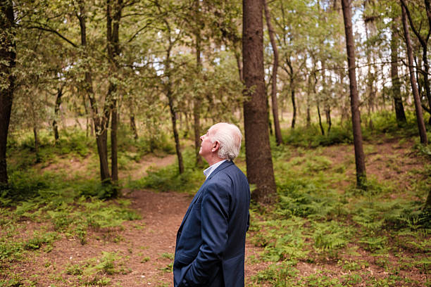 Senior manager looking up at tall trees in a forest during a break from work, enjoying the peaceful atmosphere