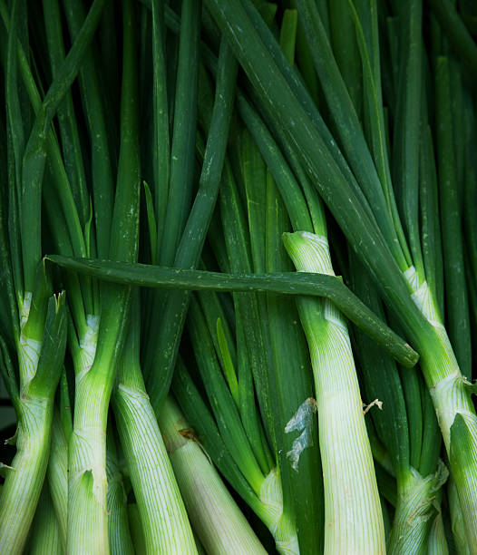 istock Close up of chives 2213956518