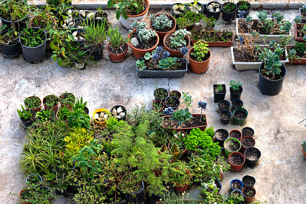 We are pleased to design an urban garden that supports sustainable housing within urban systems.