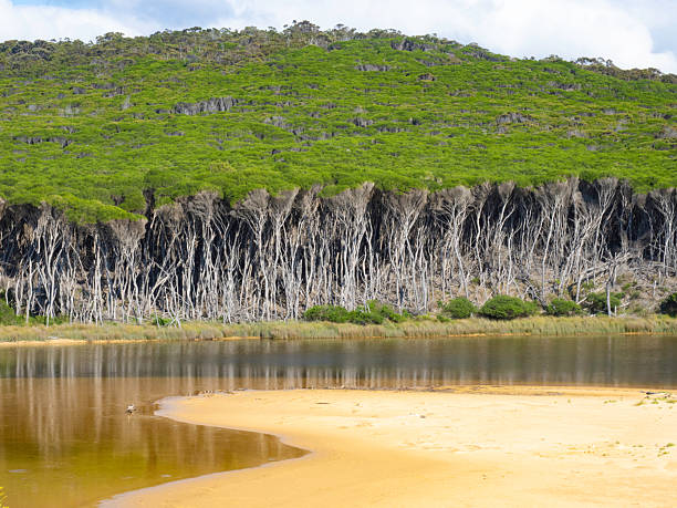 Bournda Lagoon, Bournda National Park, Sapphire Coast NSW