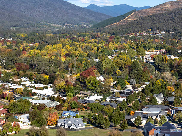 istock High angle view of houses and trees 2213965136