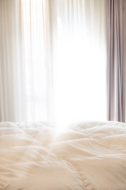 istock Sunlight on White Bed in Cozy Bedroom 2213965394
