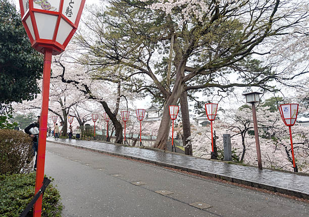 Kanazawa, Japan - April 10, 2025: Decorative street lanterns and blossoming cherry trees line the shopping district in Kenrokumachi. Spring afternoon with rainfall in Ishikawa Prefecture.