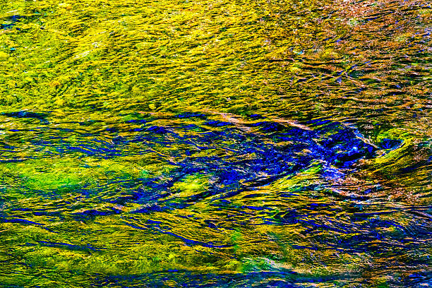 istock Yellow Green Snoqualme River Abstract Valley Trail North Bend Washington 2213967800