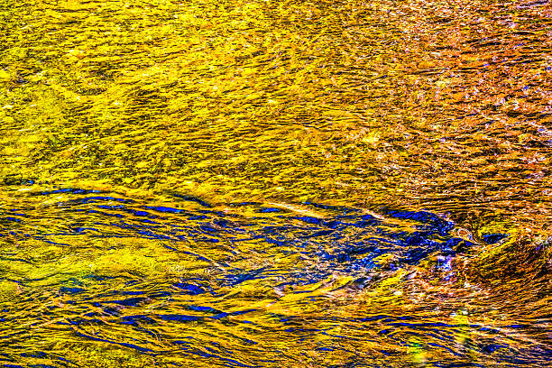Yellow Blue South Fork Snoqualme River Abstract Snoqualme Valley Trail North Bend Washington