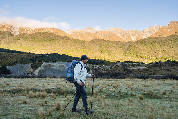 istock Solo trekker with hiking sticks. 2213968633