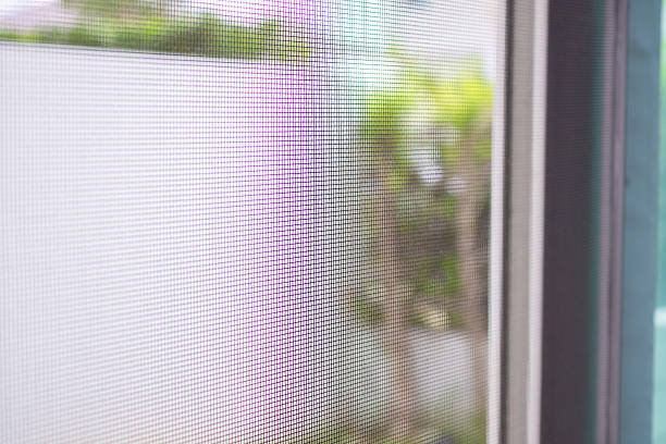 istock mosquito net wire screen on house window protection against insect 2213972384