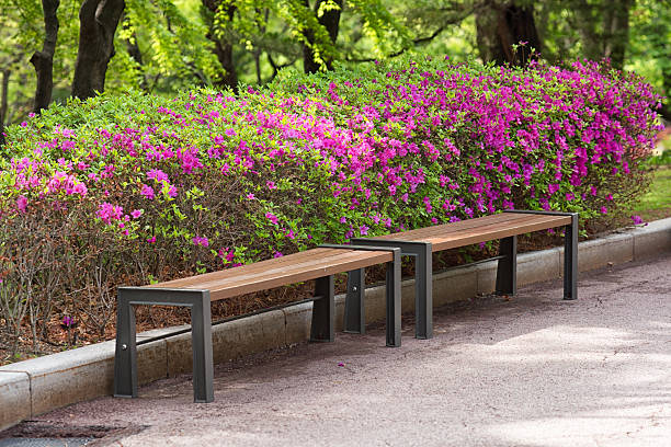 resting place